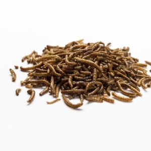Hele insecten